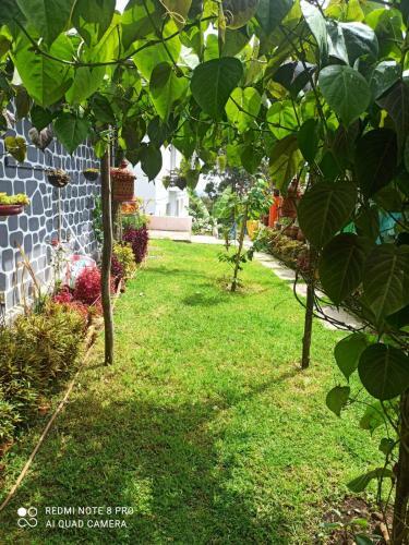 Apartamento New Westbrook