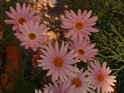 Villa Astha Homestay - Feeling Homely