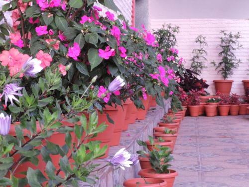 Villa Astha Homestay - Feeling Homely