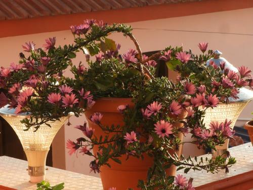 Villa Astha Homestay - Feeling Homely