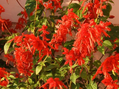 Villa Astha Homestay - Feeling Homely