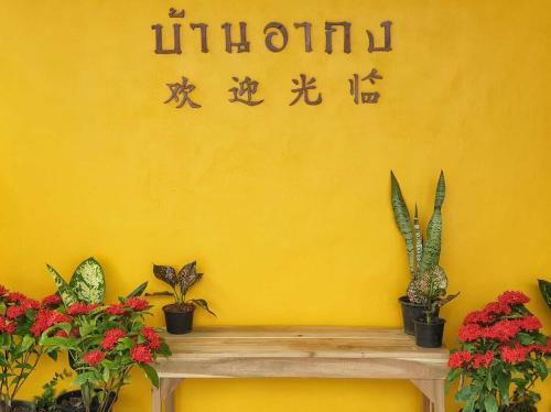 Baan Argong Homestay Pakphanang