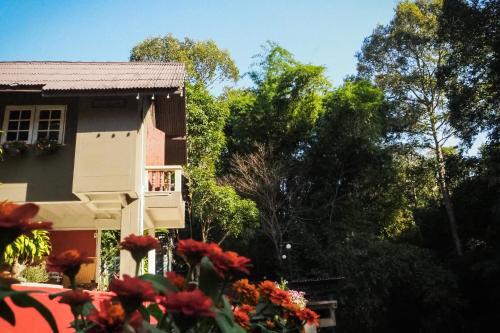 Bed & Breakfast Chomklong Experience