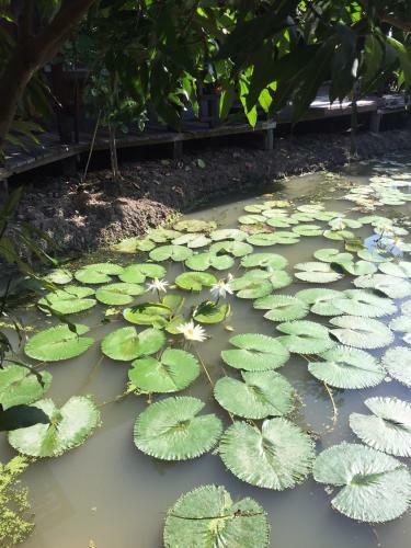 Baanya Homestay Ko Kret