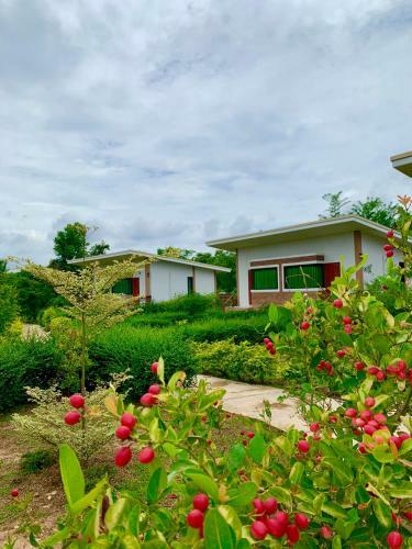 Hostal Ina Boutique Home Nan
