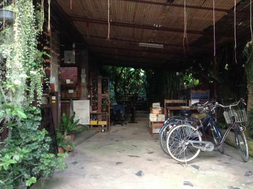 Banban Nannan Library And Guesthome
