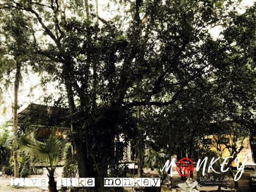 The Monkey Resort Donheang