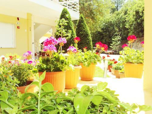 Villa Kiza Apartments