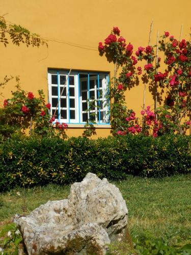 Quinta Das Tamengas