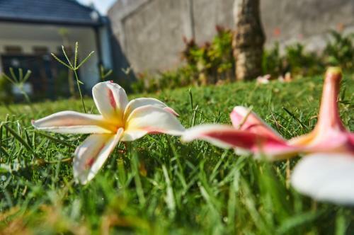 Agroturismo Puri Uluwatu Cottages