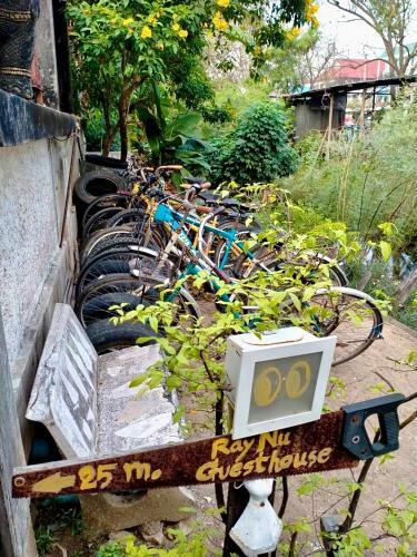 Bed & Breakfast Ray Nu Guest House