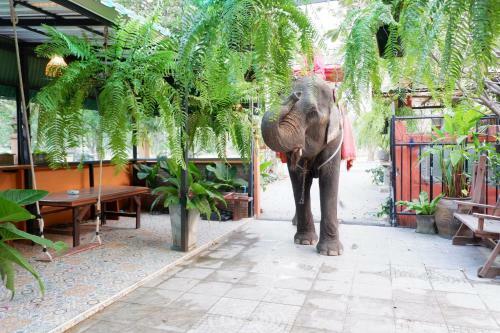 The Park Ayutthaya Resort And Spa