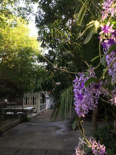 Hostal Nature Home