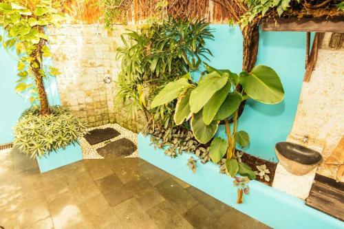 Hotel Rapture Surfcamps Padang-padang