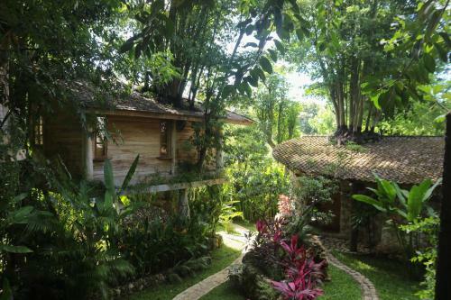 Lodge Roots Tree House