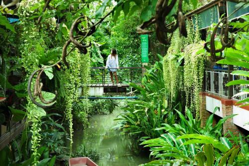Hotel Hatthatara Resort