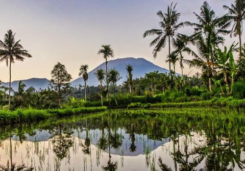 Dana Bali Ricefield Villa