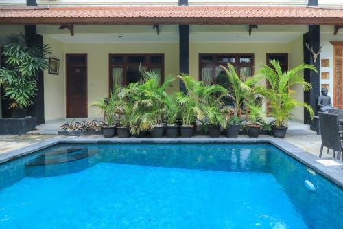 Hostal Surfaris Inn On Poppies 2