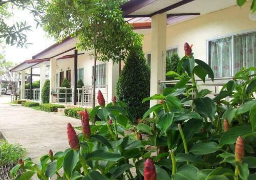 Hostal Pennaung Resort