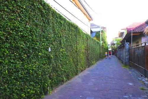 Apartamento Sari Home Stay