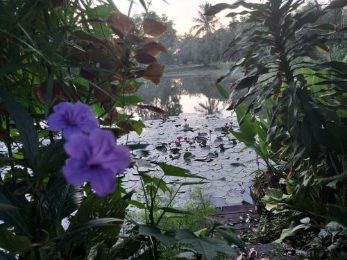 Village Homestay
