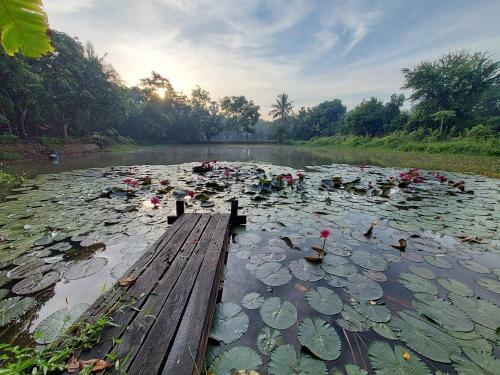 Village Homestay
