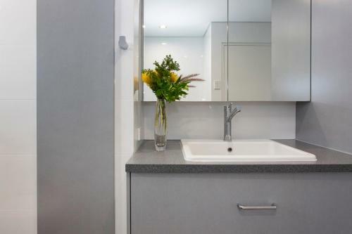 Apartamento Black Swan Vista