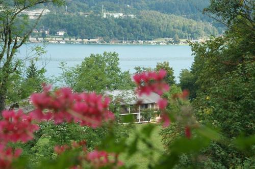 Apartamentos Appartement - Pension Adlerhorst