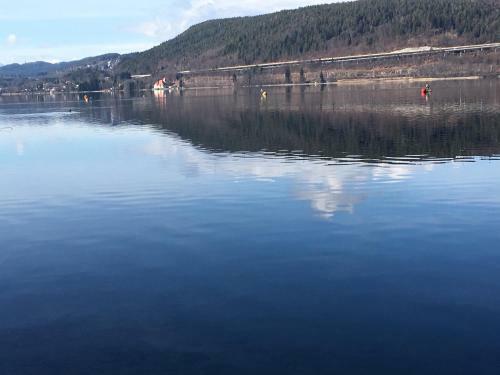 Apartamento Pension Waldesruh