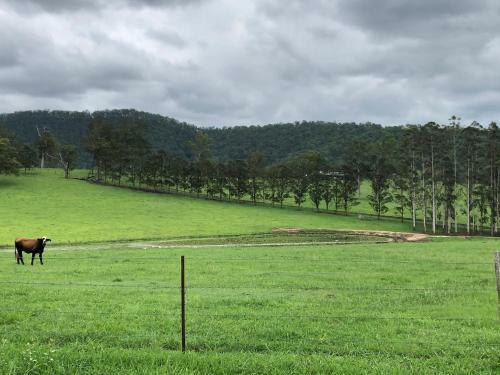 Bellbrook Historic Getaway At Bellmeadow Homestead