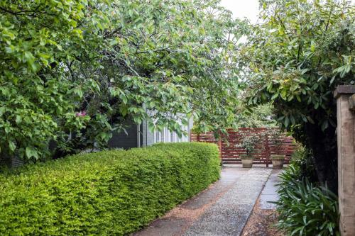 Apartamento Silk Tree Studio - Steps To Cook Park - Central