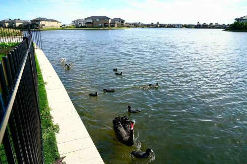 Waterfront Grand Villa For Big Group