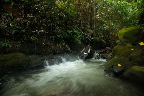 Lodge Pondok Legon House