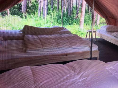 Base Camp Grand Ch�ne