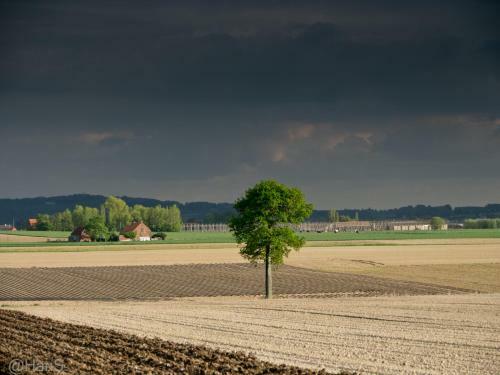 't Hofsteedje Watou