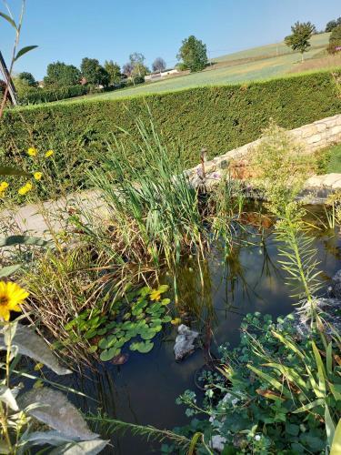 Bed & Breakfast Le Moulin De L'etang