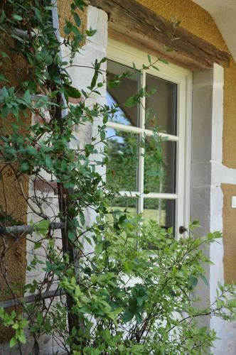 B&B La Cerisaie