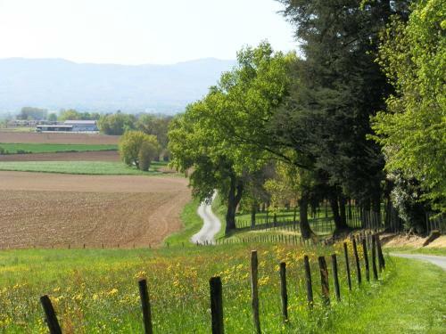 B&B La Cerisaie
