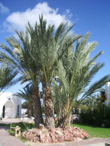 Apartamento Menzel Dija