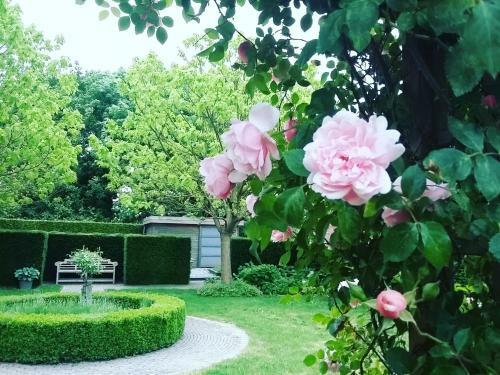 Villa Vakantiewoning Zussenzo