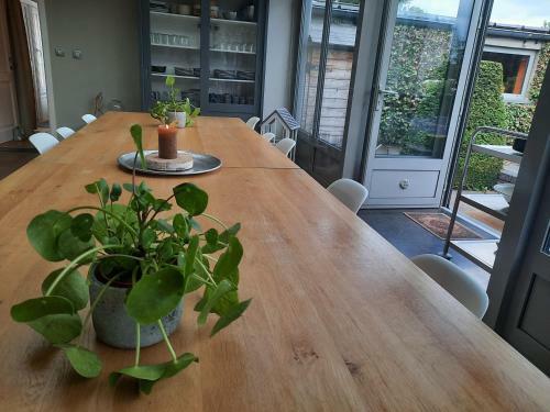 Villa Vakantiewoning Zussenzo