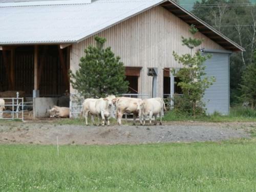Agroturismo Steigmatt Bauernhof- Erlebnis