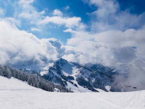 Angelo Aparts Torgon Portes Du Soleil