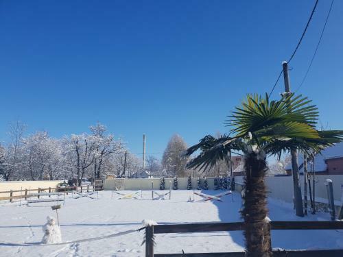Agroturismo Farm Stay NH Stables