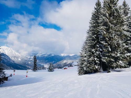 Angelo Aparts Torgon Portes Du Soleil Les Cr�tes