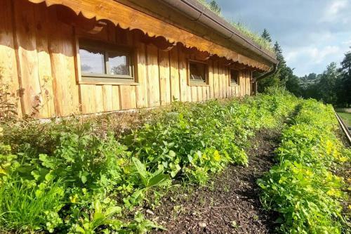Chalet Bor?vka - Biofarma Na Samot? V Les�ch