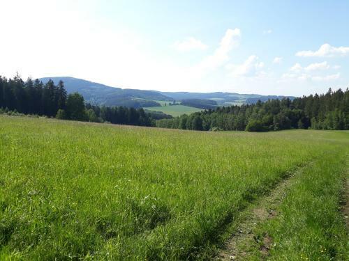 Hostal Ubytov�n� Ron?perk Pob??ovice