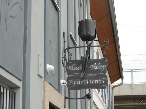 Apartm�ny ?ern� Tulip�n #2