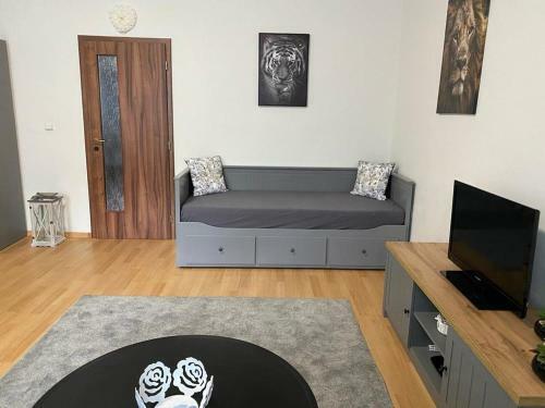 Apartm�ny ?ern� Tulip�n # 1
