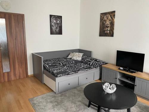 Apartm�ny ?ern� Tulip�n # 1